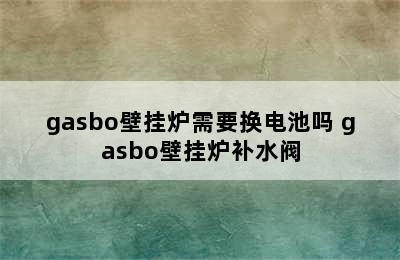 gasbo壁挂炉需要换电池吗 gasbo壁挂炉补水阀